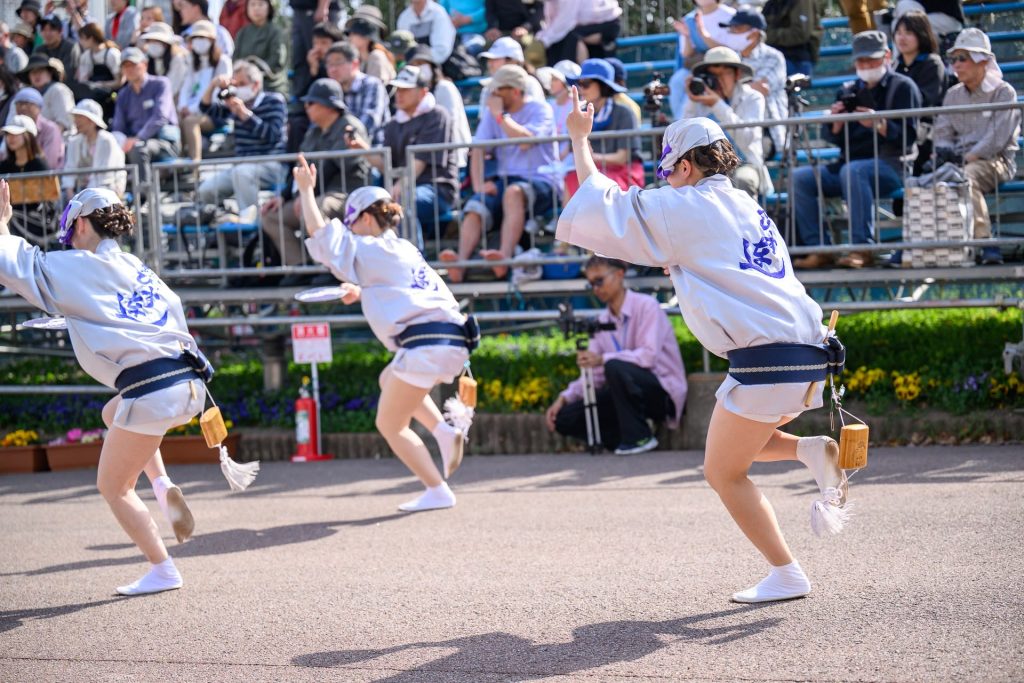 阿波おどり 2024 夏